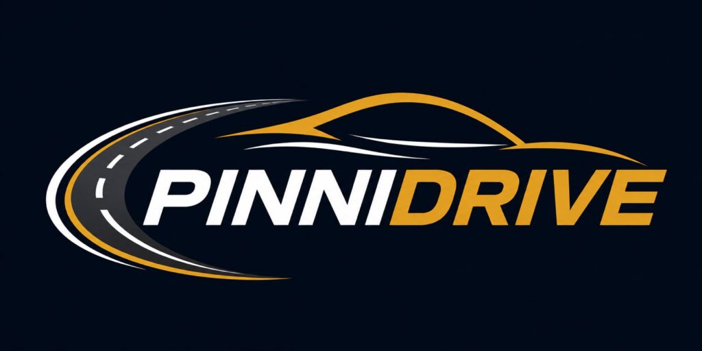 pinnidrivelogo